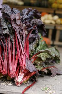 Quick and Easy Rhubarb Freezer Jam Recipe