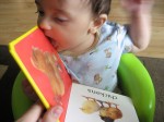 Toddler Books Toddler Books