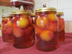 Home Canned Peaches Photo by Robin Egerton