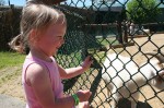 Zoos are Great for Learning about Animals Zoos are Great for Learning about Animals