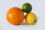 1281545_citrus