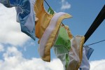 Line Drying Cloth Diapers