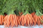 1309333_carrot