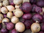 root cellar root cellar