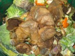 253585_compost_heap_2