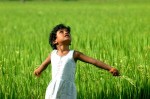 farm to school