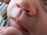 Breast Feeding Information, Photo Courtesy of Rick Kimpel, Wikimedia Commons