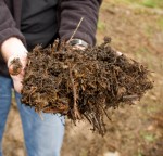 compost1 compost1