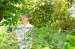 growing trees and shrubs