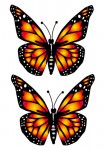 Big Butterfly Yellow Preview Big Butterfly Yellow Preview