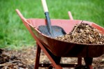 wheelbarrow wheelbarrow