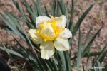 IMG_5258
