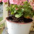 planter4