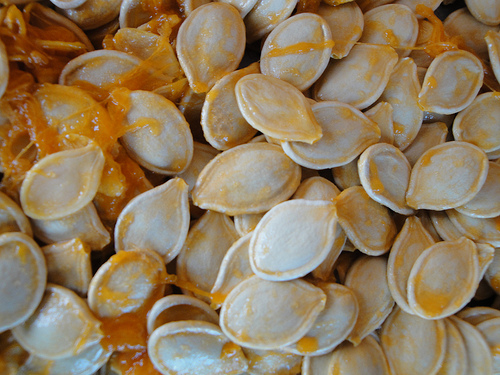 pumpkin seeds at untrained housewife