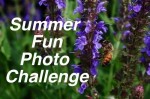 summer fun photo challenge summer fun photo challenge