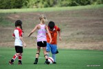 Soccer camp kids kicking ball