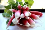radish2