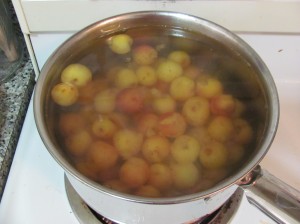 canning cherries