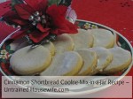 cinnamon_shortbread_cookies1 cinnamon shortbread cookie mix in a jar at the untrained housewife