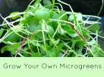 microgreens
