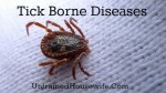 Tick by John Tann