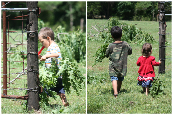 Hard working babies Hard working babies