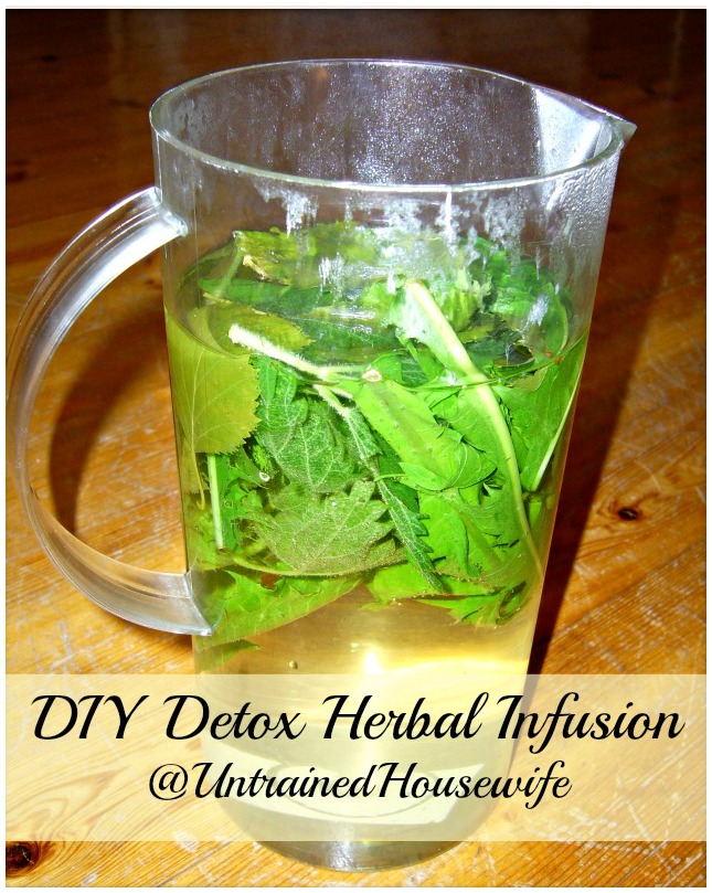 Nettle, Dandelion and Birch Herbal Detox Infusion