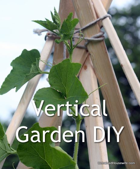 Vertical Gardening DIY Teepee