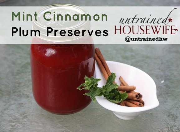 Mint Cinnamon Plum Preserves Canning Recipe
