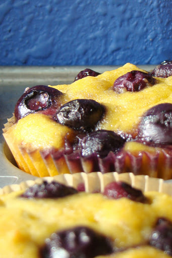 GAPS Legal Blueberry Banana Muffins