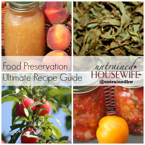 Food Preservation Untrained Housewife Ultimate Recipe Guide