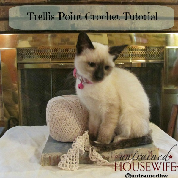  Claire with Trellis Point Crochet. Claire likes to help...or hinder...any needlework project. The book in the photo is The Complete Book of Crochet by Elizabeth L. Mathieson, Greystone Press, June 1947 reprint. The pattern here is not directly from this book, but the book does have very interesting vintage pieces.