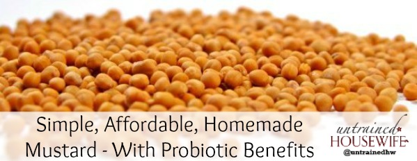 Homemade Mustard with Probiotics