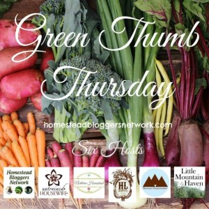 Green Thumb Thursday