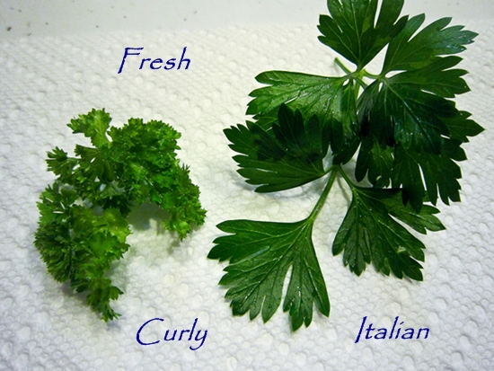 How to grow Italian parsley
